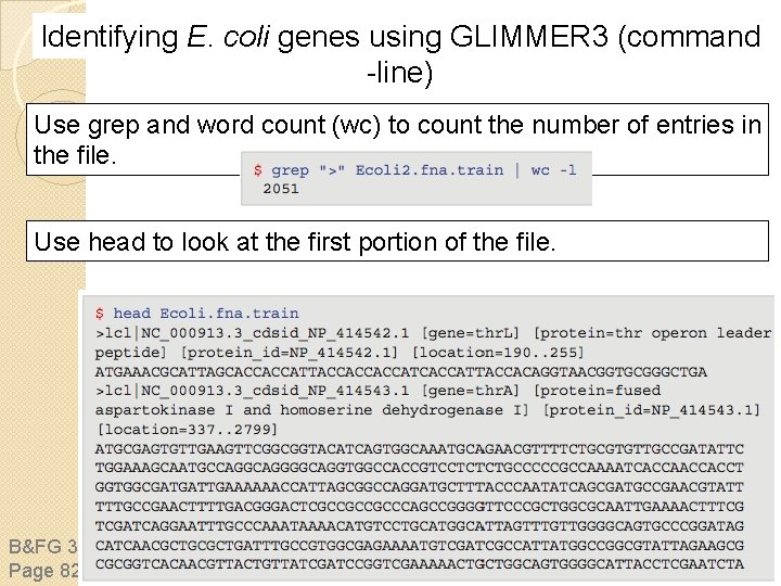 Identifying E. coli genes using GLIMMER 3 (command -line) Use grep and word count
