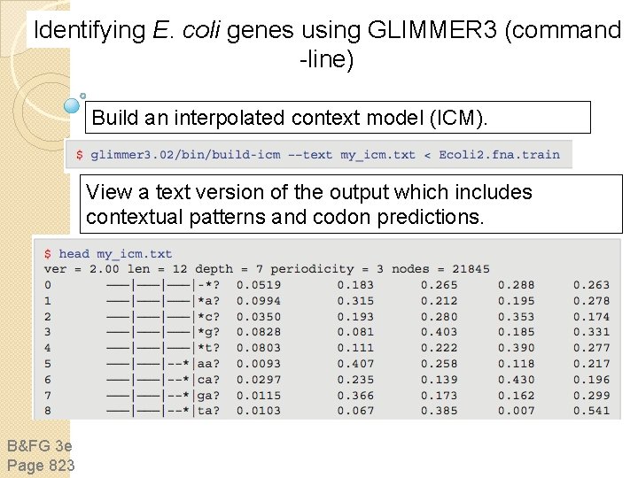 Identifying E. coli genes using GLIMMER 3 (command -line) Build an interpolated context model