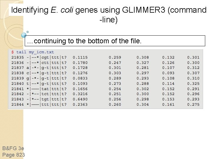 Identifying E. coli genes using GLIMMER 3 (command -line) …continuing to the bottom of