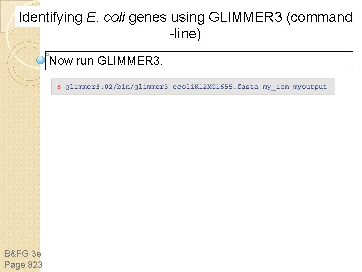 Identifying E. coli genes using GLIMMER 3 (command -line) Now run GLIMMER 3. B&FG