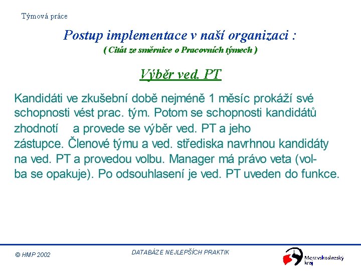 Týmová práce Postup implementace v naší organizaci : ( Citát ze směrnice o Pracovních