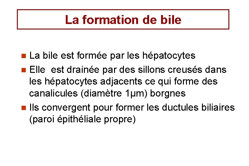 La formation de bile La bile est formée par les hépatocytes n Elle est
