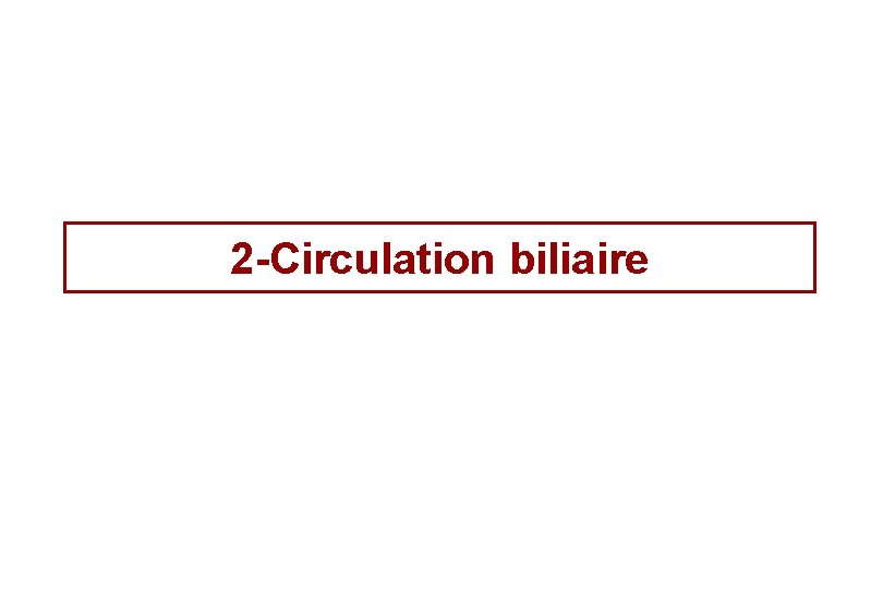 2 -Circulation biliaire 