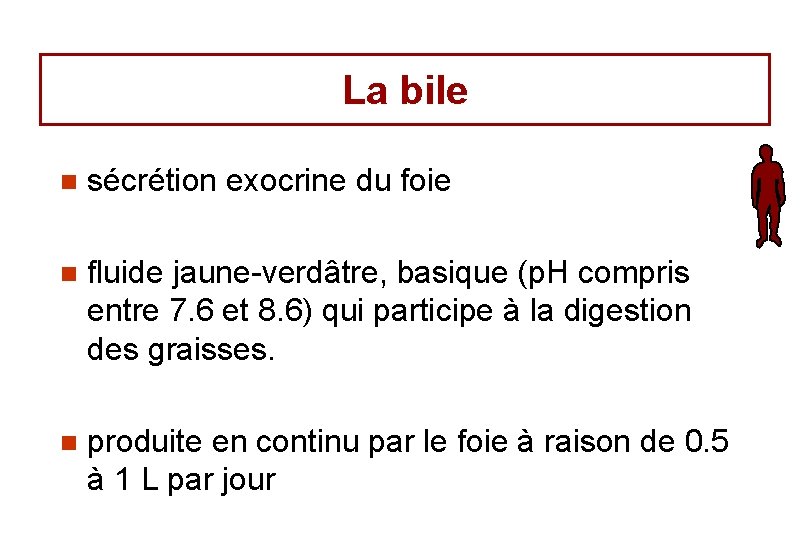La bile n sécrétion exocrine du foie n fluide jaune-verdâtre, basique (p. H compris