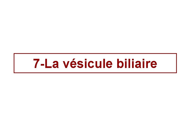 7 -La vésicule biliaire 