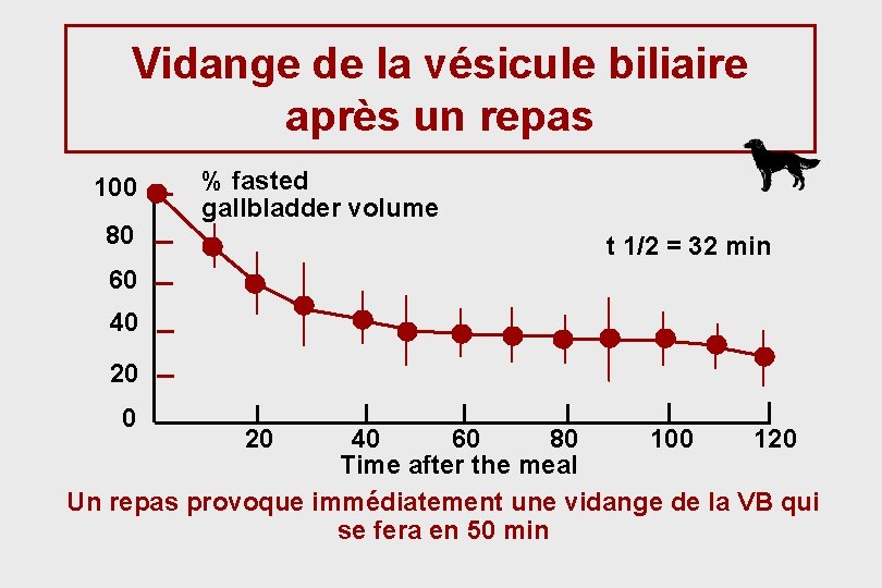 Vidange de la vésicule biliaire après un repas 100 80 % fasted gallbladder volume