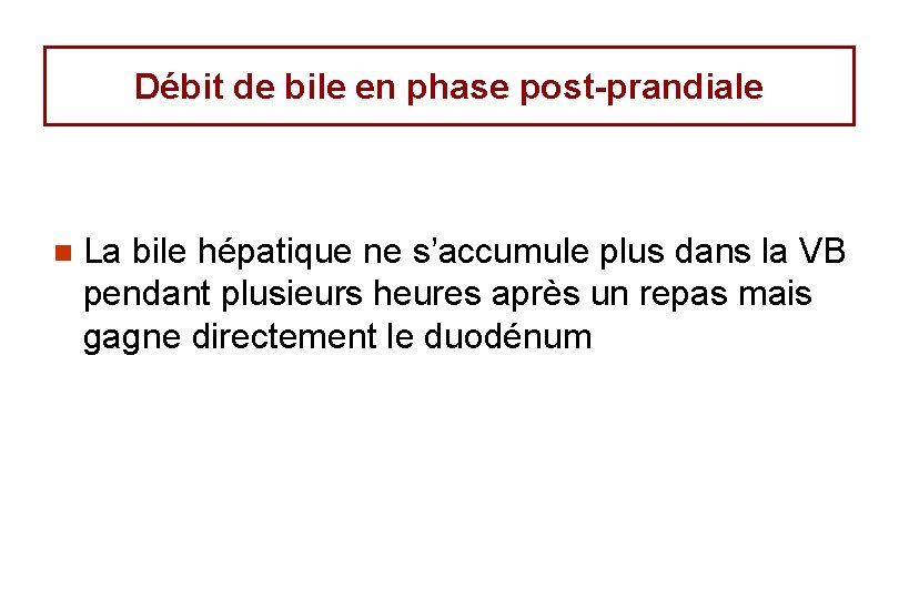 Débit de bile en phase post-prandiale n La bile hépatique ne s’accumule plus dans