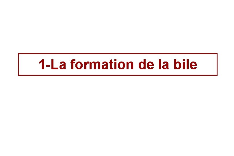 1 -La formation de la bile 