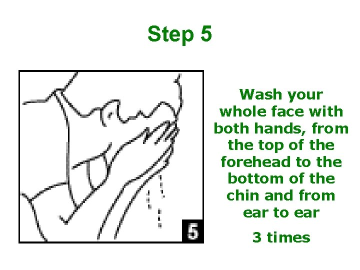 Step 5 Wash your whole face with both hands, from the top of the