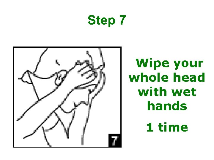 Step 7 Wipe your whole head with wet hands 1 time 