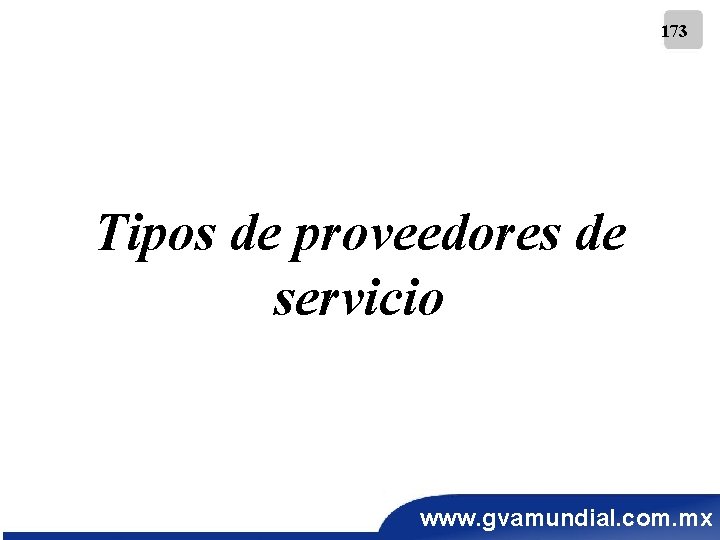 173 Tipos de proveedores de servicio www. gvamundial. com. mx 