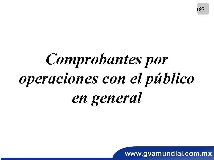 187 Comprobantes por operaciones con el público en general www. gvamundial. com. mx 