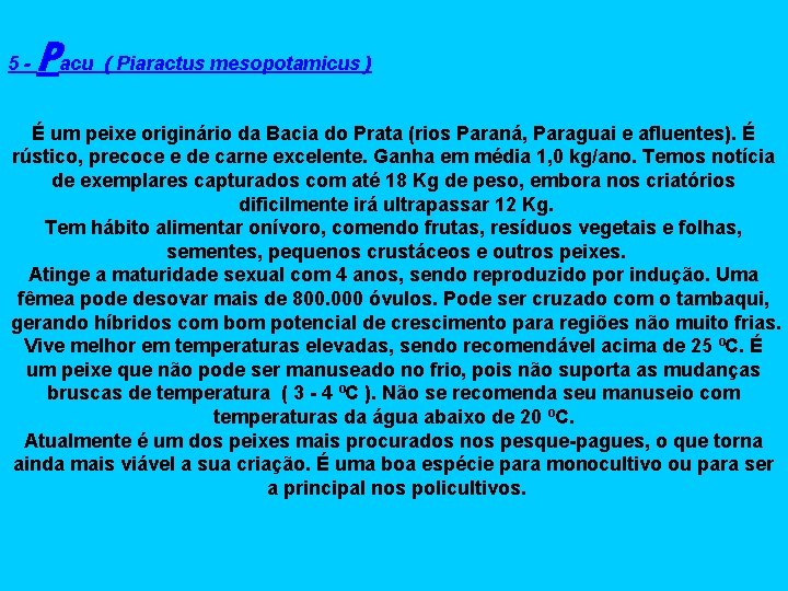 5 - Pacu ( Piaractus mesopotamicus ) É um peixe originário da Bacia do