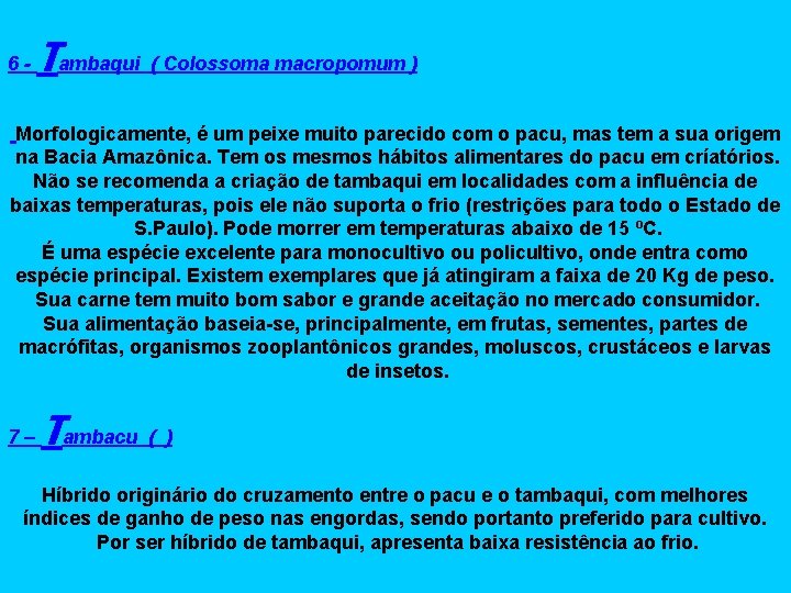 6 - Tambaqui ( Colossoma macropomum ) Morfologicamente, é um peixe muito parecido com