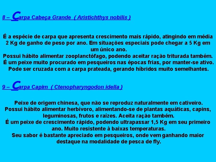 8– Carpa Cabeça Grande ( Aristichthys nobilis ) É a espécie de carpa que