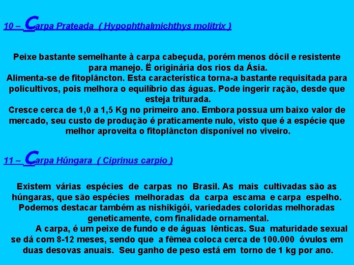10 – Carpa Prateada ( Hypophthalmichthys molitrix ) Peixe bastante semelhante à carpa cabeçuda,