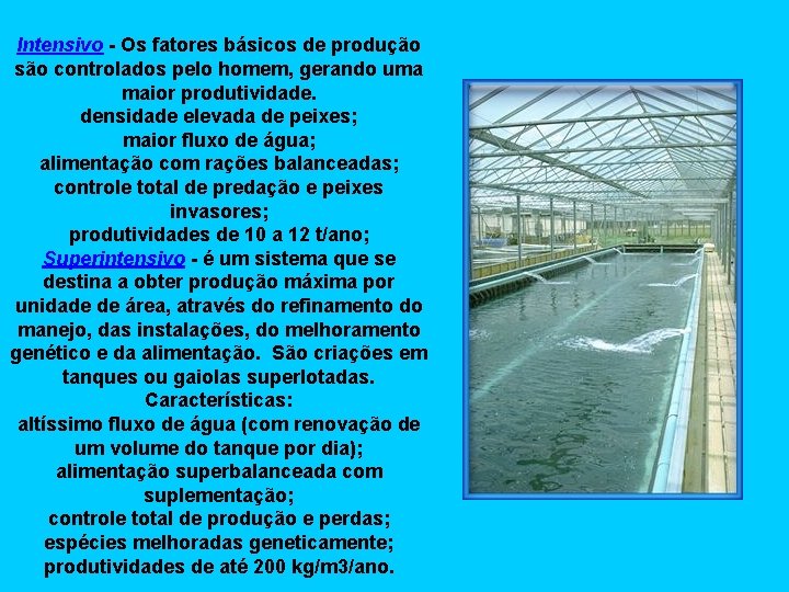 Intensivo - Os fatores básicos de produção são controlados pelo homem, gerando uma maior