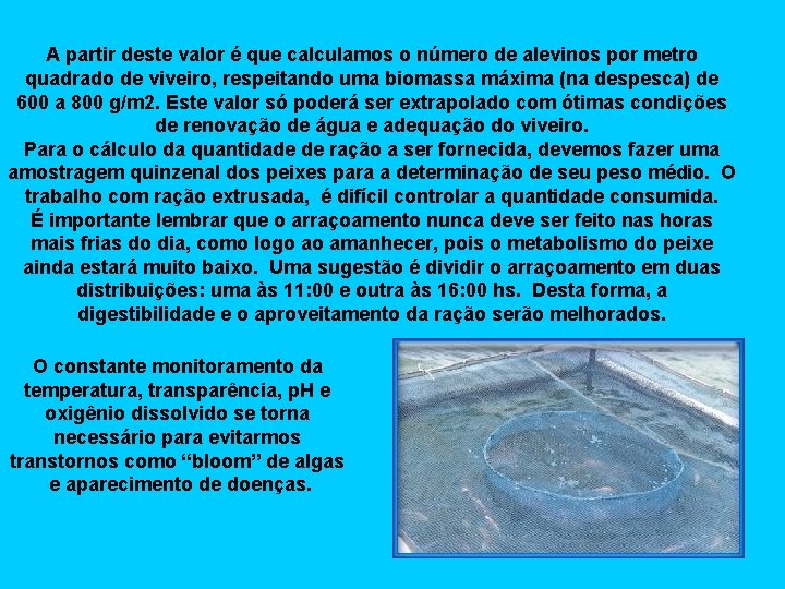 A partir deste valor é que calculamos o número de alevinos por metro quadrado