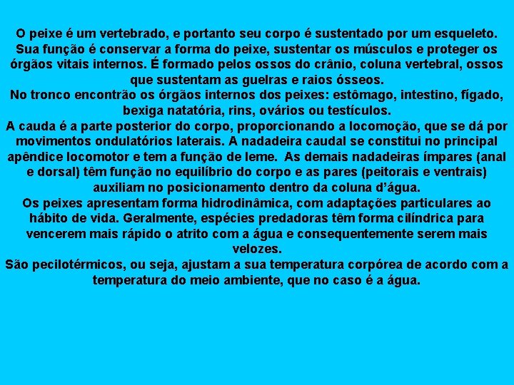 O peixe é um vertebrado, e portanto seu corpo é sustentado por um esqueleto.