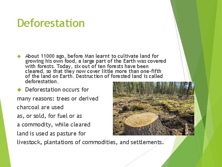 Deforestation About 11000 ago, before Man learnt to cultivate land for growing his own