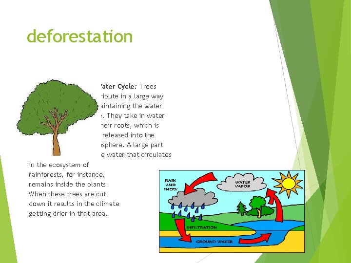 deforestation Disruption of the Water Cycle: Trees contribute in a large way in maintaining