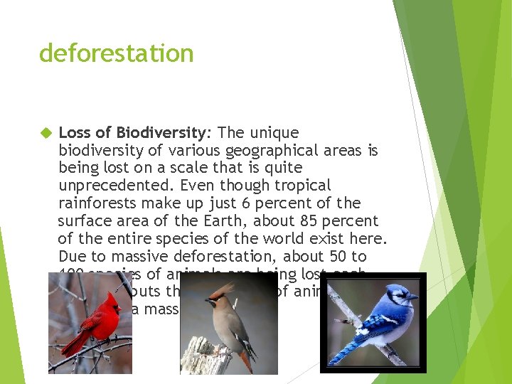 deforestation Loss of Biodiversity: The unique biodiversity of various geographical areas is being lost