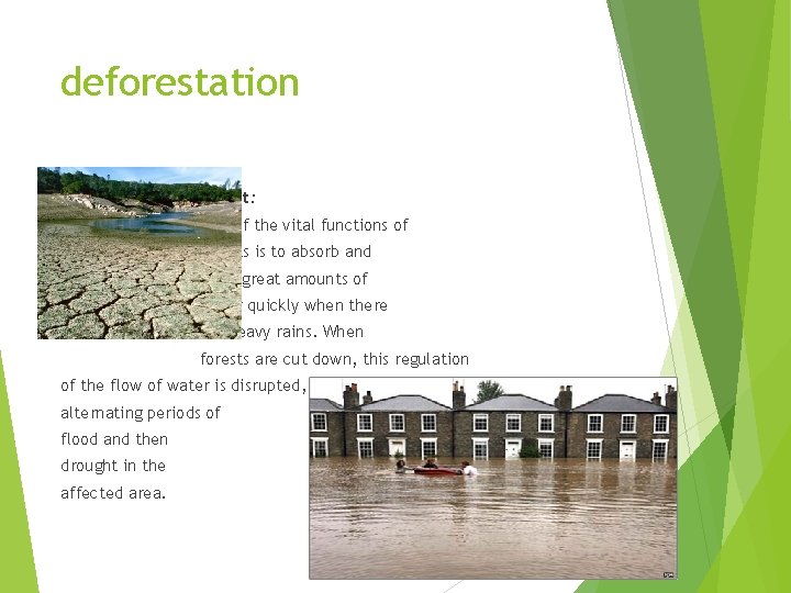 deforestation Flooding and Drought: One of the vital functions of forests is to absorb