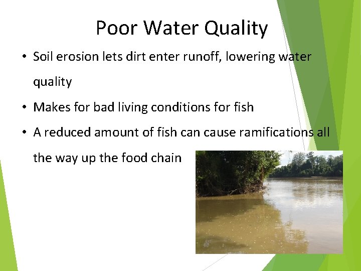 Poor Water Quality • Soil erosion lets dirt enter runoff, lowering water quality •