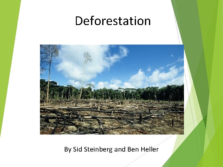 Deforestation By Sid Steinberg and Ben Heller 