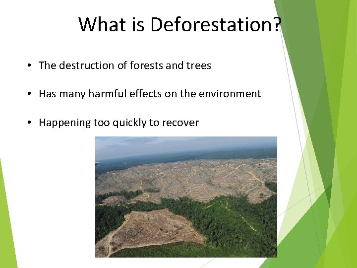 What is Deforestation? • The destruction of forests and trees • Has many harmful