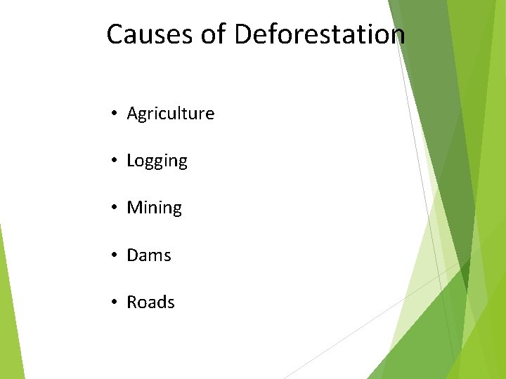 Causes of Deforestation • Agriculture • Logging • Mining • Dams • Roads 