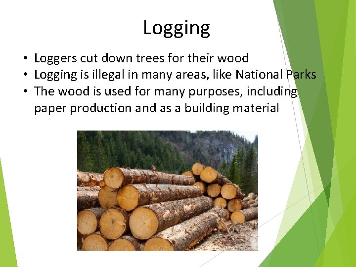 Logging • Loggers cut down trees for their wood • Logging is illegal in
