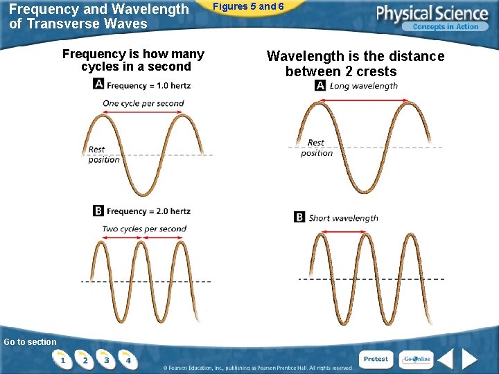 Frequency and Wavelength of Transverse Waves Frequency is how many cycles in a second