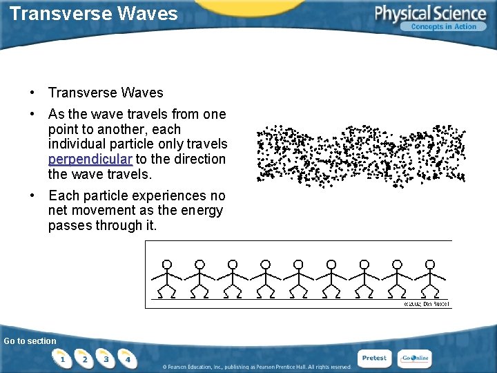 Transverse Waves • Transverse Waves • As the wave travels from one point to