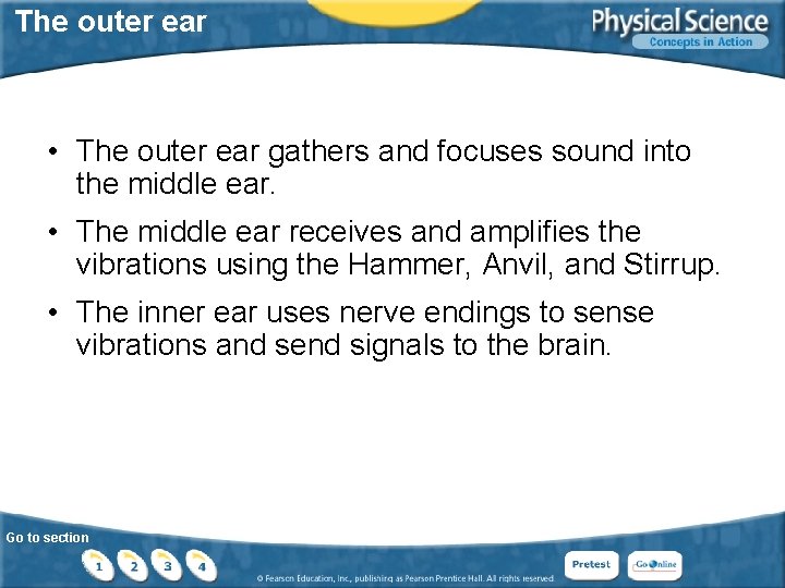 The outer ear • The outer ear gathers and focuses sound into the middle