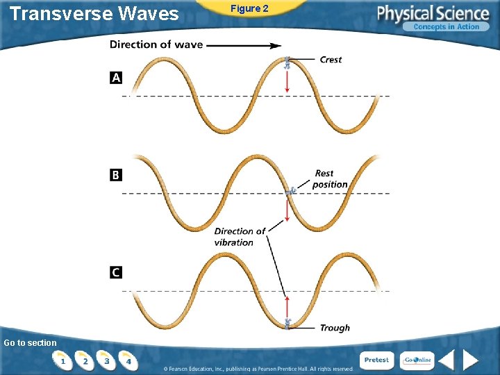 Transverse Waves Go to section Figure 2 