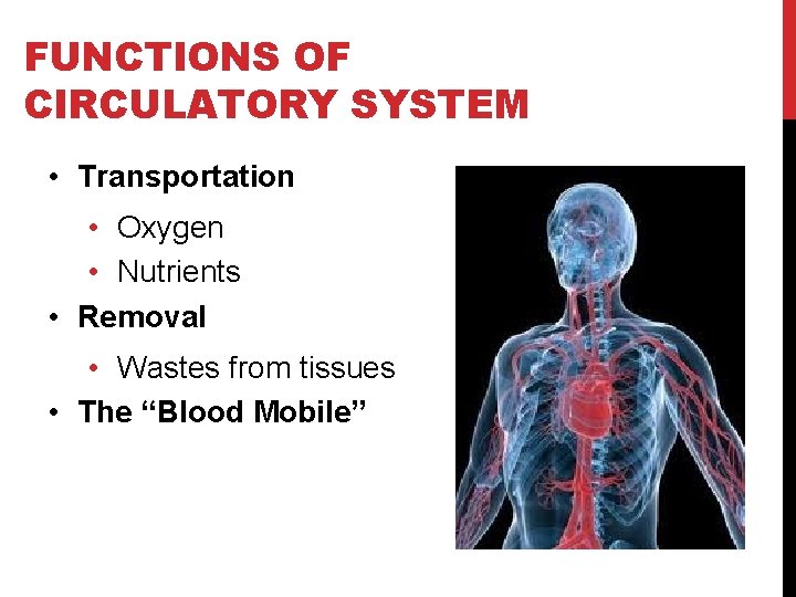 FUNCTIONS OF CIRCULATORY SYSTEM • Transportation • Oxygen • Nutrients • Removal • Wastes