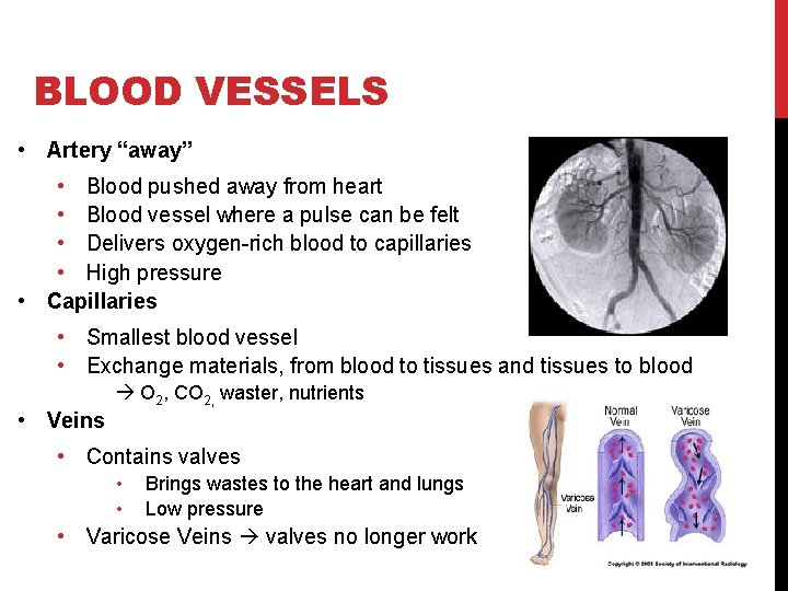 BLOOD VESSELS • Artery “away” • Blood pushed away from heart • Blood vessel