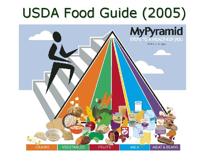 USDA Food Guide (2005) 