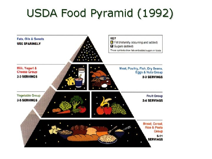 USDA Food Pyramid (1992) 