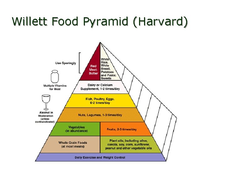 Willett Food Pyramid (Harvard) 