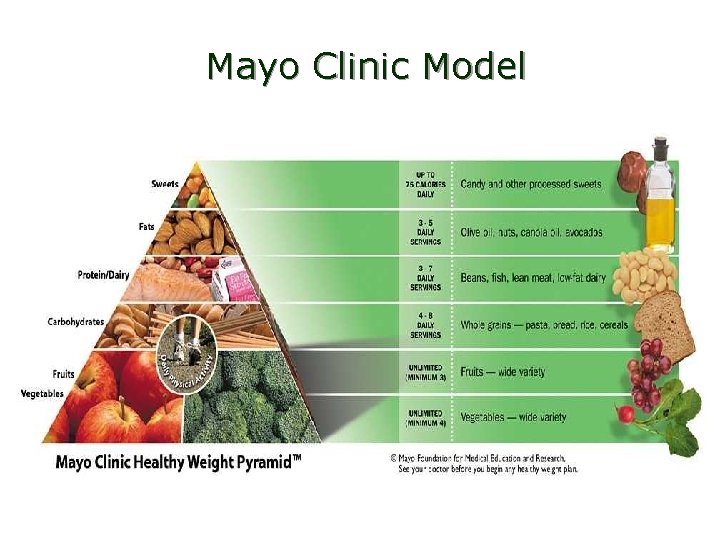 Mayo Clinic Model 