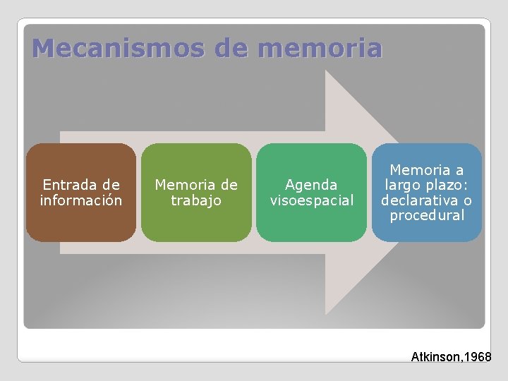 Mecanismos de memoria Entrada de información Memoria de trabajo Agenda visoespacial Memoria a largo