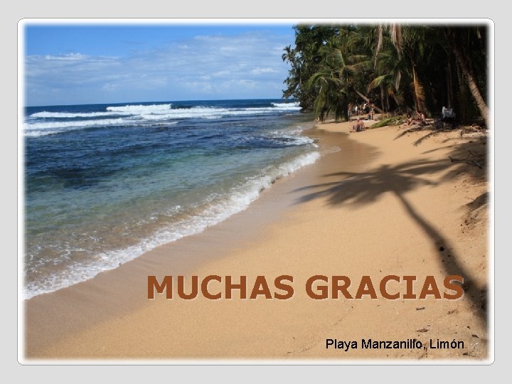 MUCHAS GRACIAS Playa Manzanillo, Limón 