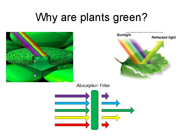 Why are plants green?  Why are plants green?
