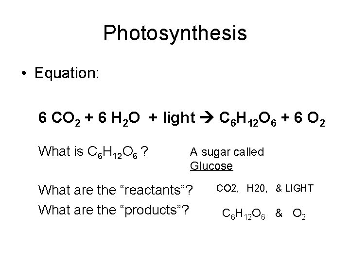 Photosynthesis • Equation: 6 CO 2 + 6 H 2 O + light C Photosynthesis • Equation: 6 CO 2 + 6 H 2 O + light C