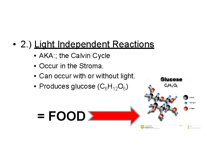 • 2. ) Light Independent Reactions • • AKA: ; the Calvin Cycle  • 2. ) Light Independent Reactions • • AKA: ; the Calvin Cycle