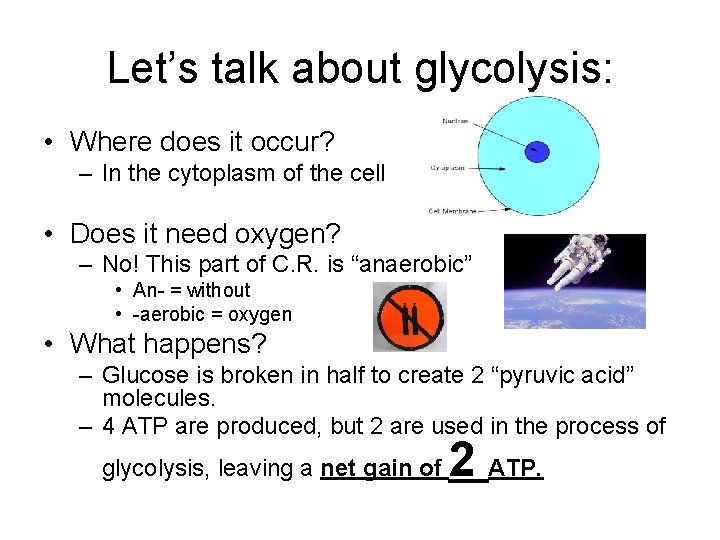 Let’s talk about glycolysis: • Where does it occur? – In the cytoplasm of Let’s talk about glycolysis: • Where does it occur? – In the cytoplasm of