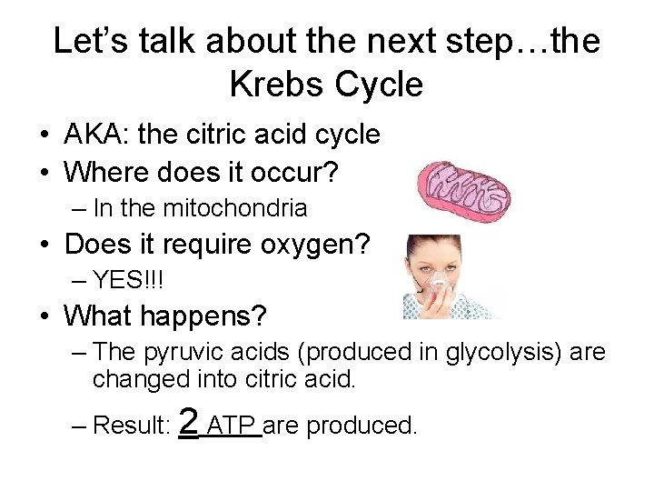 Let’s talk about the next step…the Krebs Cycle • AKA: the citric acid cycle Let’s talk about the next step…the Krebs Cycle • AKA: the citric acid cycle
