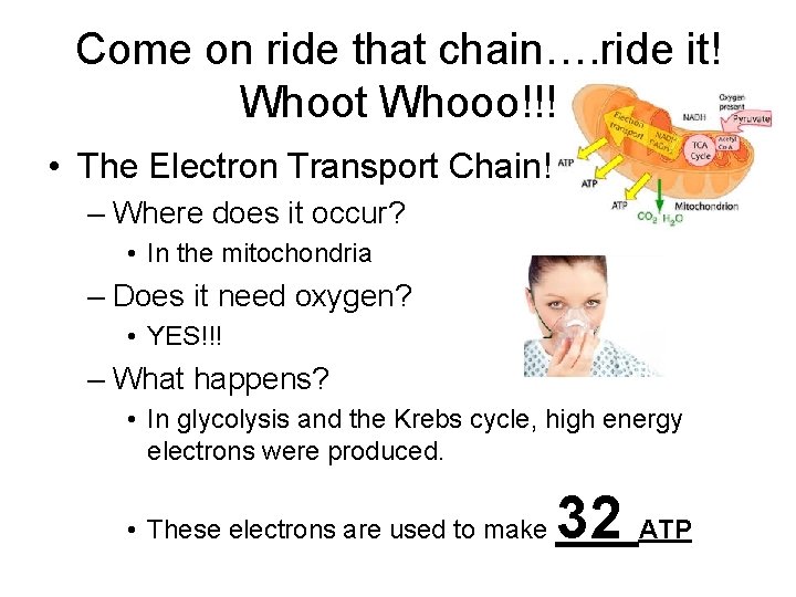 Come on ride that chain…. ride it! Whoot Whooo!!! • The Electron Transport Chain! Come on ride that chain…. ride it! Whoot Whooo!!! • The Electron Transport Chain!